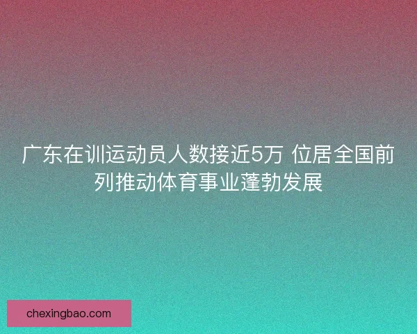 广东在训运动员人数接近5万 位居全国前列推动体育事业蓬勃发展